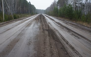 Томские активисты Народного фронта добиваются приведения в порядок дороги Первомайское – Комсомольск