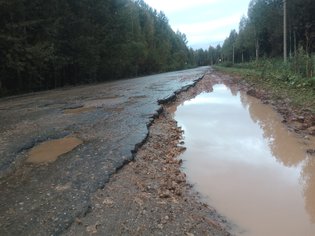 None, Медведевский район