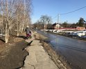 В прошлом, 2016 году здесь чинили тротуар. Видимо, не дочинили.
Помойка в центре посёлка, посреди проезжей части выглядит ужасно.