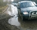 В г.Калуга по адресу ул. Тарутинская р-он полигона Автокадры на протяжении 100м. находятся порядка 3-5 ЯМ глубиной от 5-10см. 26.04.17 двигаясь на машине в вечернее время (22:30) на скорости 50км/ч мы попали в две из них. После удара было пробито два колеса по правой стороне, о чем не медленно было сообщено в ГАИ, но к 0:00 знакомые привезли два колеса, заменили и покинули место ДТП. В районе 0:10 с нами связались сотрудники ДПС, но возвращаться мы не стали, т.к было поздно и далеко. Прошу Вас сообщить о данной проблеме, т.к прошло более 2 недель ЯМЫ только увеличиваются в размерах. Спасибо.