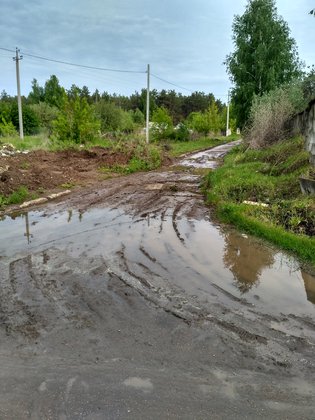 None, Чердаклинский район, Солнечная поляна (большая)