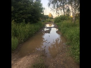 None, Барнаульский городской округ, пос. Ягодное, Центральная улица