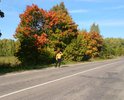 На въезде в поселок ямы глубиной до 50 см, дрсу на Сокол внимания не обращает...