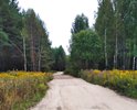 Нижегородская область, Семеновский район, дорога от д.Озеро до д.Мошна.
Согласно официального ответа от Министерства внутренней региональной и муниципальной политики Нижегородской области, дорога в настоящее время находится в проезжем состоянии. Средства на ремонт дороги в 2020г. бюджетом не предусмотрены, т. к. данная дорога не считается местной администрацией приоритетным направлением. В период распутицы дорога превращается в полосу препятствий даже для внедорожников.