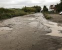 В августе писали письмо на имя Красильникова в администрацию Перми, ответа не последовало. Дороги попросту нет.