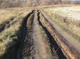 None, деревня Власьево