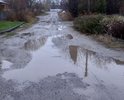 Наш 4 Парковый в Тамбове хотя и носит гордое топонимическое звание "Проезд", однако в действительности таковым является лишь условно (см.фото). Сколько нибудь твердого дорожного полотна не имел от сотворения мира. Несколько раз мы сбрасывались на "засыпку" ям и ямищ, но, сами понимаете, сыпать горстями асфальтовый лом или битый кирпич в чернозем -- все равно, что вычерпывать чайной ложкой Мировой океан. На обращение вдохновило то, насколько интенсивно в последнее время ремонтируются так называемые малые поперечные улицы в Тамбове. Может и до нас очередь дойдет... Году хотя бы к... Да хоть к какому....