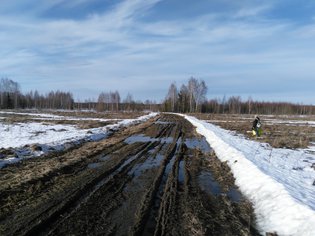 None, Льяшевское сельское поселение