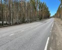 Между 2 и 3 километром автодороги А-125 Молодежное-Черкасово (60.212799, 29.508408) на дорожном покрытии образовались огромные ямы. Прошу устранить.