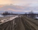 Дорога и так была не самого лучшего качества, а после того как городские власти дали добро на открытие песчаного карьера частному предприятию, перегруженные самосвалы окончательно ее разбили. Дорога идет к фермерскому хозяйству и полигону ТБО. Из-за разбитой дороги мусоровозы рассыпают мусор и все обочины еще и мусором засыпаны. И все это безобразие творится в полукилометре от резиденции губернатора, который объявил год экологии на Ямале.